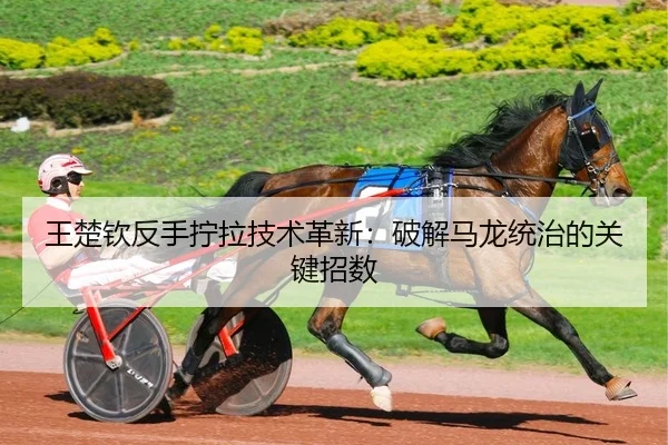 王楚钦反手拧拉技术革新：破解马龙统治的关键招数